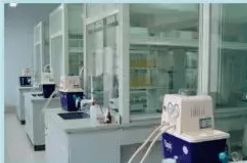 誠信制藥，技精業勤 山東藥品食品職業學院制藥工程系助力大國工匠之夢——聚焦生物制劑研發