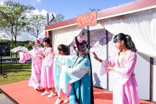 海南舉辦新時(shí)代文明實(shí)踐志愿服務(wù)項(xiàng)目展示活動(dòng)，數(shù)字創(chuàng)意賦能志愿服務(wù)新風(fēng)尚